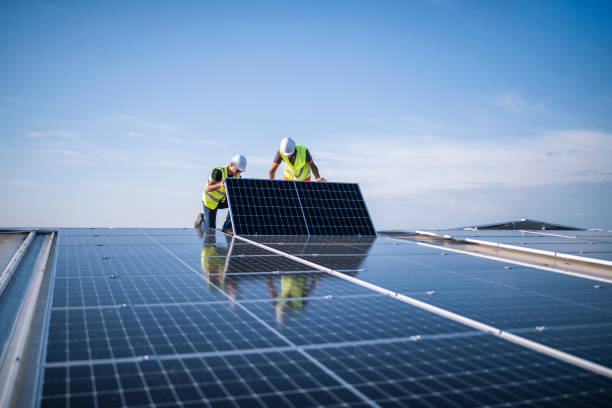 Best Roof Maintenance and Cleaning  in Sheldon, IA