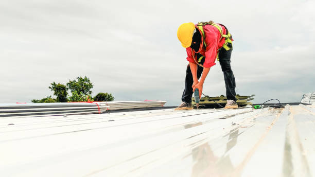 Best Roof Waterproofing  in Sheldon, IA