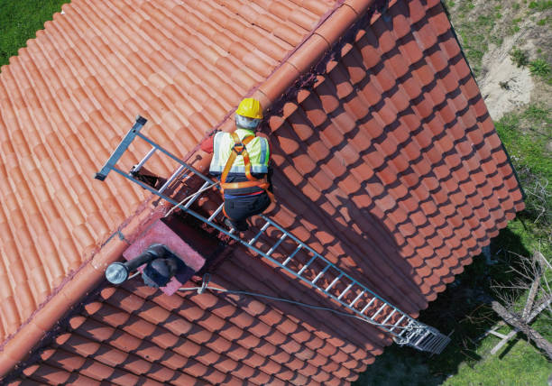 Best Roof Installation  in Sheldon, IA