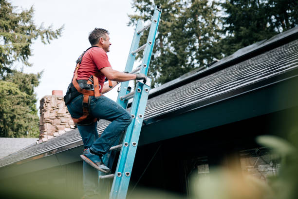 Best Storm Damage Roof Repair  in Sheldon, IA