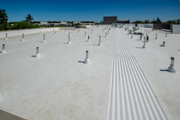 Best Asphalt Shingle Roofing  in Sheldon, IA